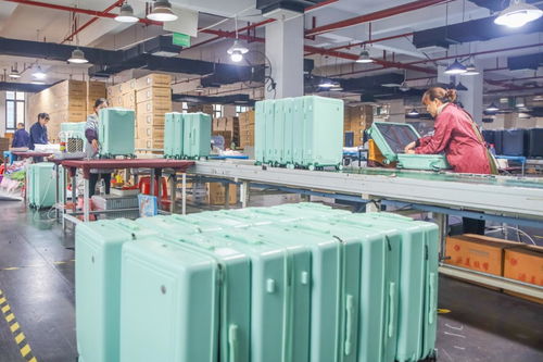 國際旅行勞務(wù)品牌 永州2023年度特色勞務(wù)新亮點